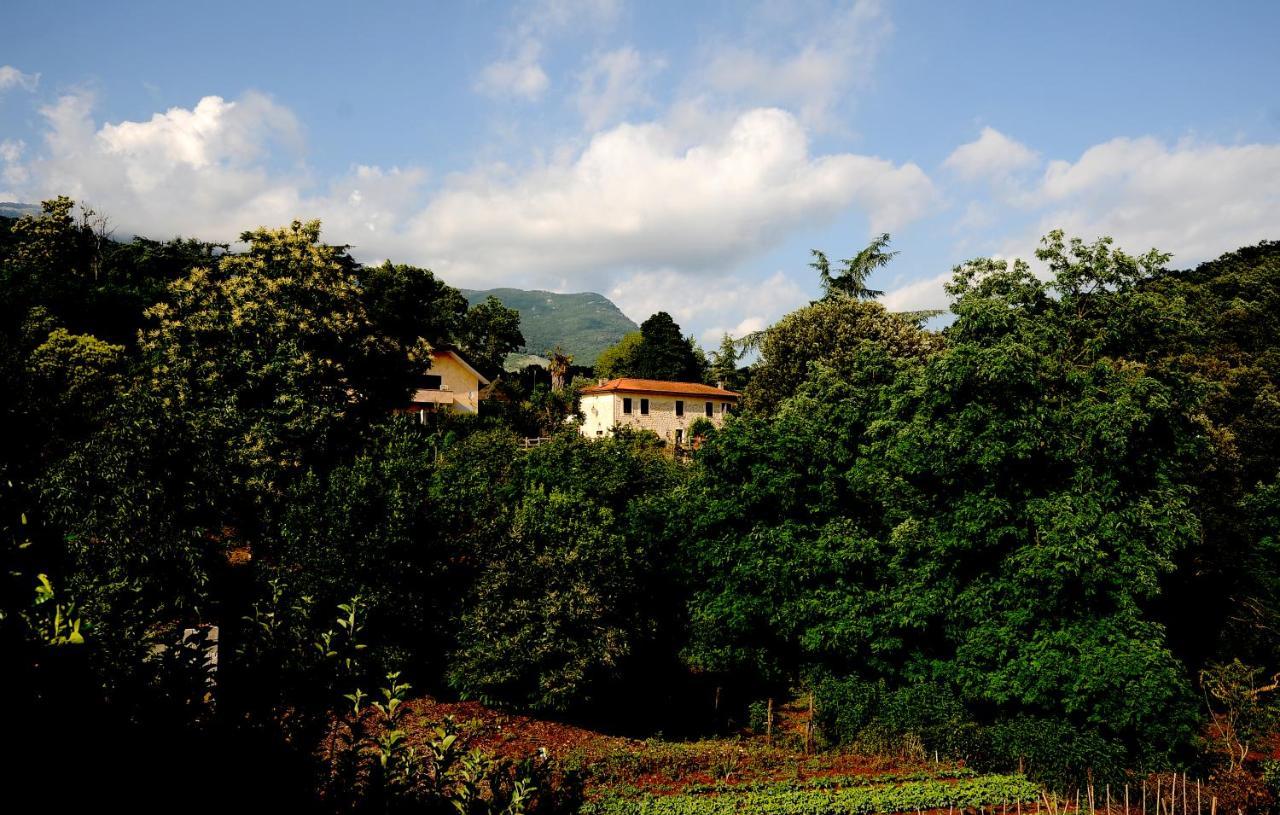 Country House Sezze Εξωτερικό φωτογραφία
